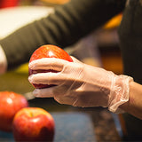 Gloveworks Vinyl Clear Ind Gloves 10 Pack