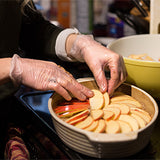 Gloveworks Vinyl Clear Ind Gloves 10 Pack