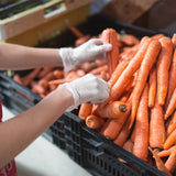 Gloveworks Vinyl Clear Ind Gloves 10 Pack